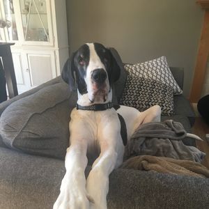 Meet your Posher, Michelle